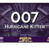 Kitten, Hurricane - Hurricane Kitten #007 (30)