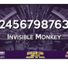 Boros, Leigh - Invisible Monkey #124567987631 (140)