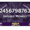 Boros, Leigh - Invisible Monkey #124567987631 (140)