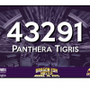 Branum, Susie - Panthera Tigris #43291 (66)
